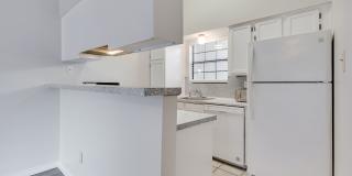 k670 - Buena Vista #306 Gallery 12