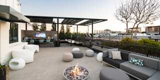 Novel Edgehill Gallery 14