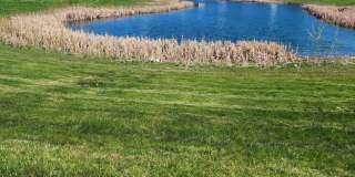 3 Bed 2.5 Bath Single Family Home Gallery 72