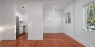 Poinciana Avenue Gallery 5