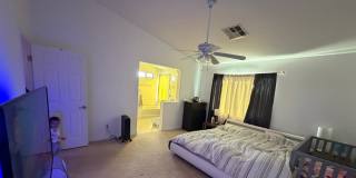 Eco-Friendly 4BR 2.5Bath House in Las Vegas Gallery 12