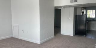 231 Chestnut St Gallery 1