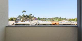 Pacific Cove Gallery 18