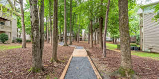 The Pines Gallery 49