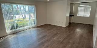 2006 Diamond St Gallery 6