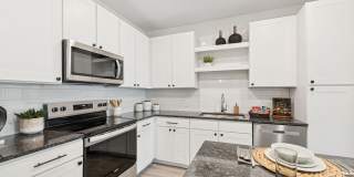 Ascend Brightleaf Apartments Gallery 7