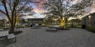 Lantana Round Rock Gallery 31