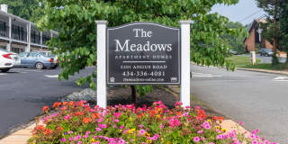 The Meadows Gallery 11