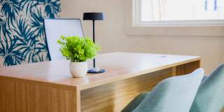 Madison at Adams Farm Gallery 26