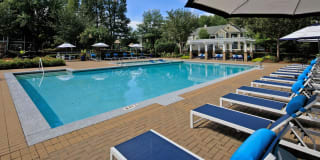 Cavalier @ 100 Gallery 1