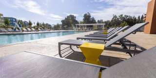 Solasta Solasta Gallery 18