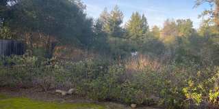 Spacious Ground-Floor 3BD/2BA Condo in Prime Scotts Valley Location Gallery 15