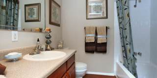 Acacia Cliffs Gallery 37