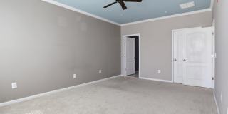 24636 WOOLLY MAMMOTH Terrace Gallery 24