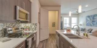 The Hamilton Gallery 7