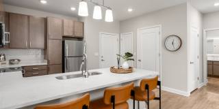 The Canopy Gallery 6