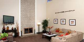 Evelyn Gardens Gallery 10