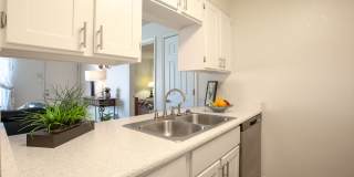 Whispering Sands Gallery 2