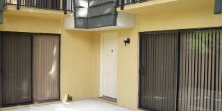 SANDALWOOD Gallery 4