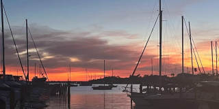 1209 APOLLO BEACH BOULEVARD Gallery 29