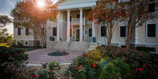 Meritage at Steiner Ranch Gallery 43