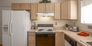 3146 CHAMA MEADOWS Drive NE 3146 CHAMA MEADOWS Drive NE Gallery 12
