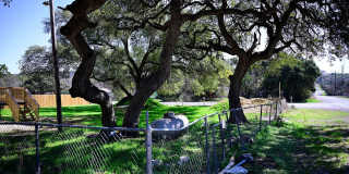 909 PINE EAGLE LN Gallery 19
