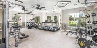 MacAlpine Place Gallery 5