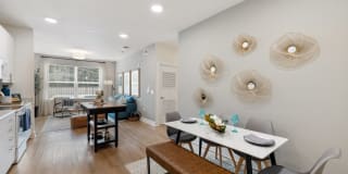 Ltd. Med Center Gallery 2
