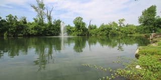 Lake of the Woods Gallery 49