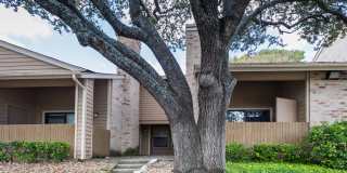 Woods of Elm Creek Gallery 7