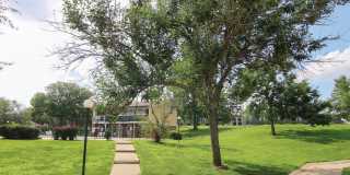 Raintree Apartments Gallery 6