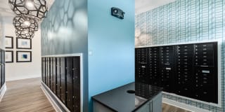 Ltd. Med Center Gallery 27