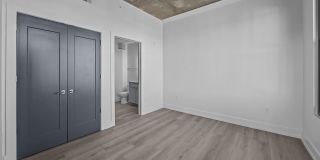 LC Line & Low Gallery 55