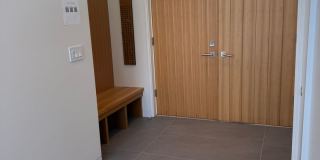 Silver Maple Stunning Gallery 4