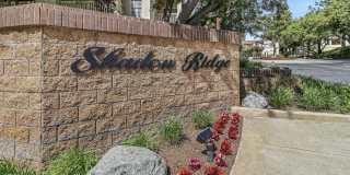 5744 Oak Bend Lane unit: 203 Gallery 1