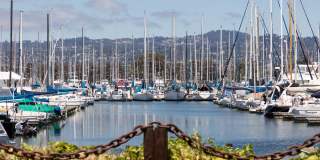 Star Harbor Gallery 27