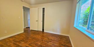 Beautifully Remodeled 3 Bed 2 Bath Rambler in Eastgate, Bellevue Gallery 16