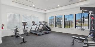 Canvas at Anna Gallery 17