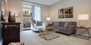 Woodland Meadow Gallery 6