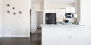 Linden Square Gallery 100