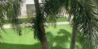 FURNISHED 1 bedroom 1 bath for rent lease 571 Water St., Celebration, FL 34747 Gallery 24