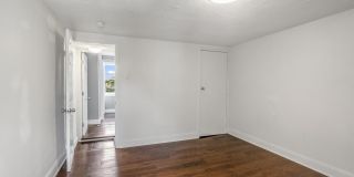 2564 COLLINS Street Gallery 17
