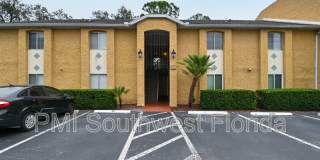 1919 Toucan Way Gallery 1