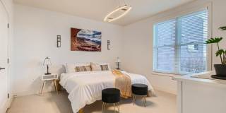 Modern 1 BDR in Peloton - Ground Floor - Full Accessible Gallery 4