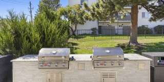 Mint Urban Infinity Gallery 23