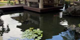 HONOLULU PARK PLACE - Newly Renovated Spacious 1 Bedroom, 1 Bathroom, 1 Parking & Lanai! Gallery 22
