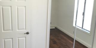 111 Tarocco Gallery 6