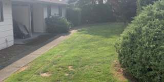 908 Liberty Street - C Gallery 19