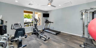 Reflections at Gila Springs Gallery 5